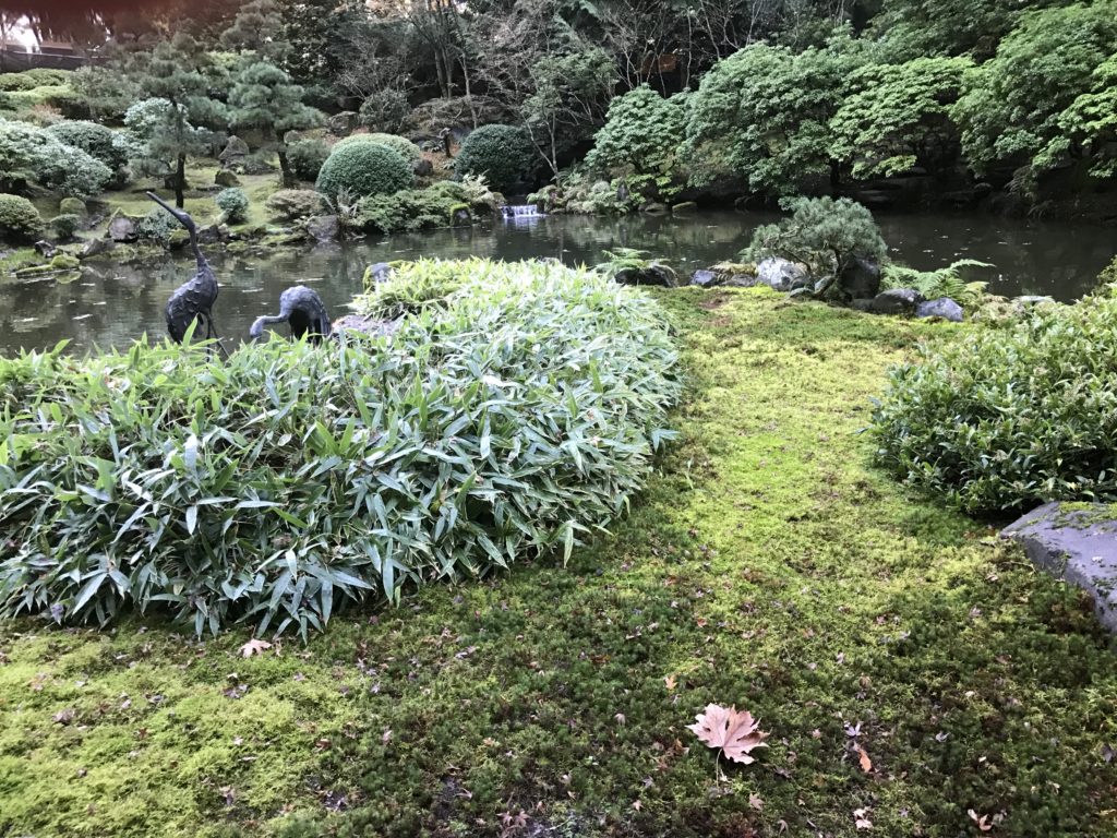 Japanese Garden Portland, OR must see Pacific Northwest
