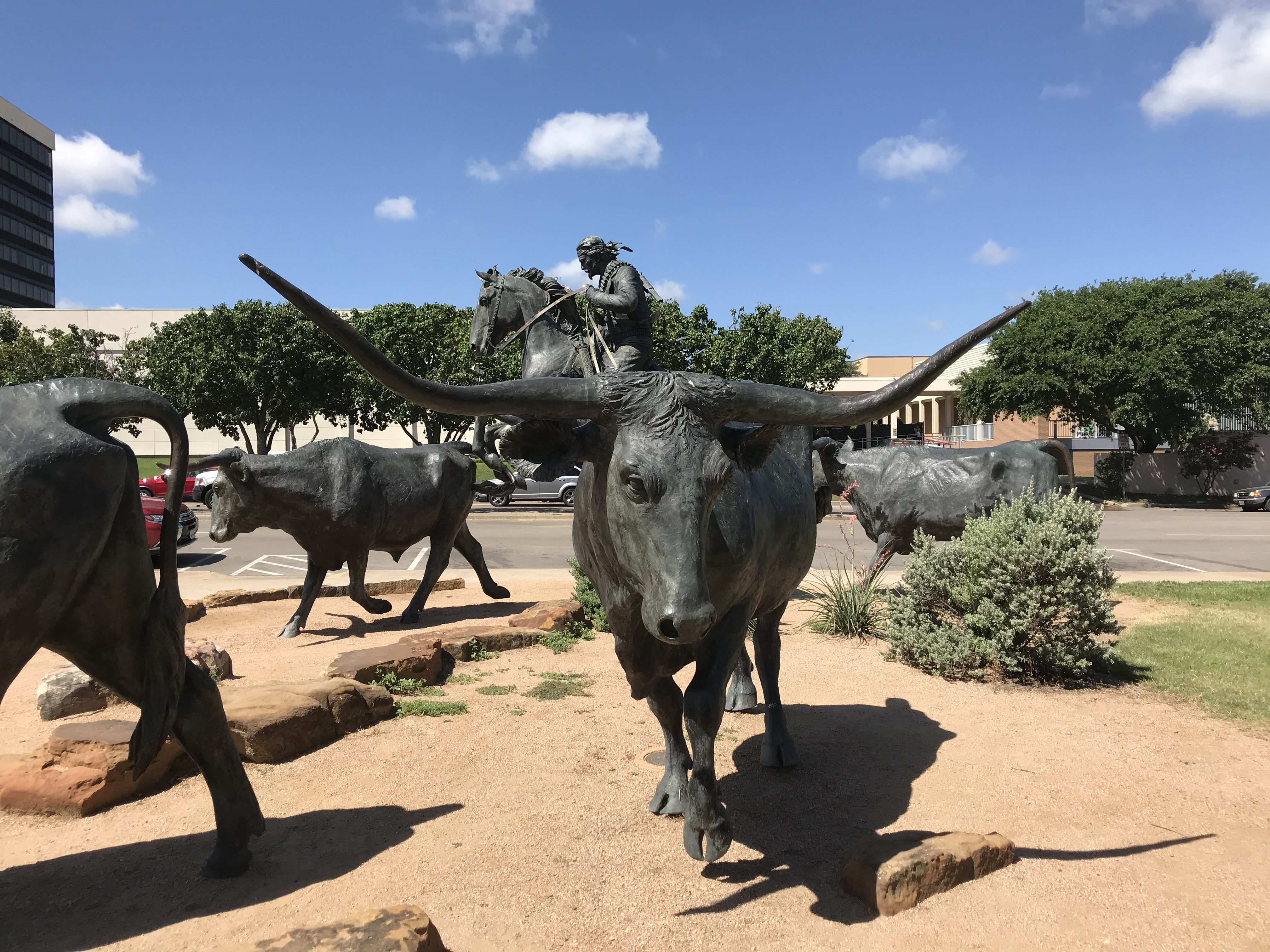 Longhorn statue representing cattle driving during Chisholm Trail Waco