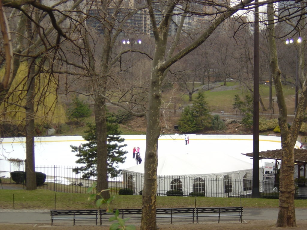 Ice Rink Central Park NYC