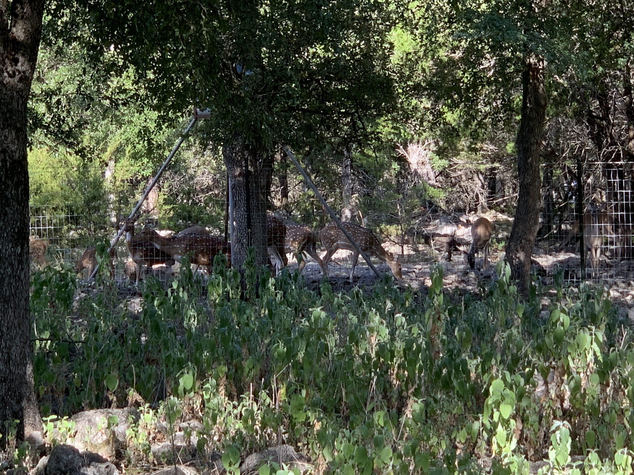 Spring Branch Texas near San Antonio Travel And Tell