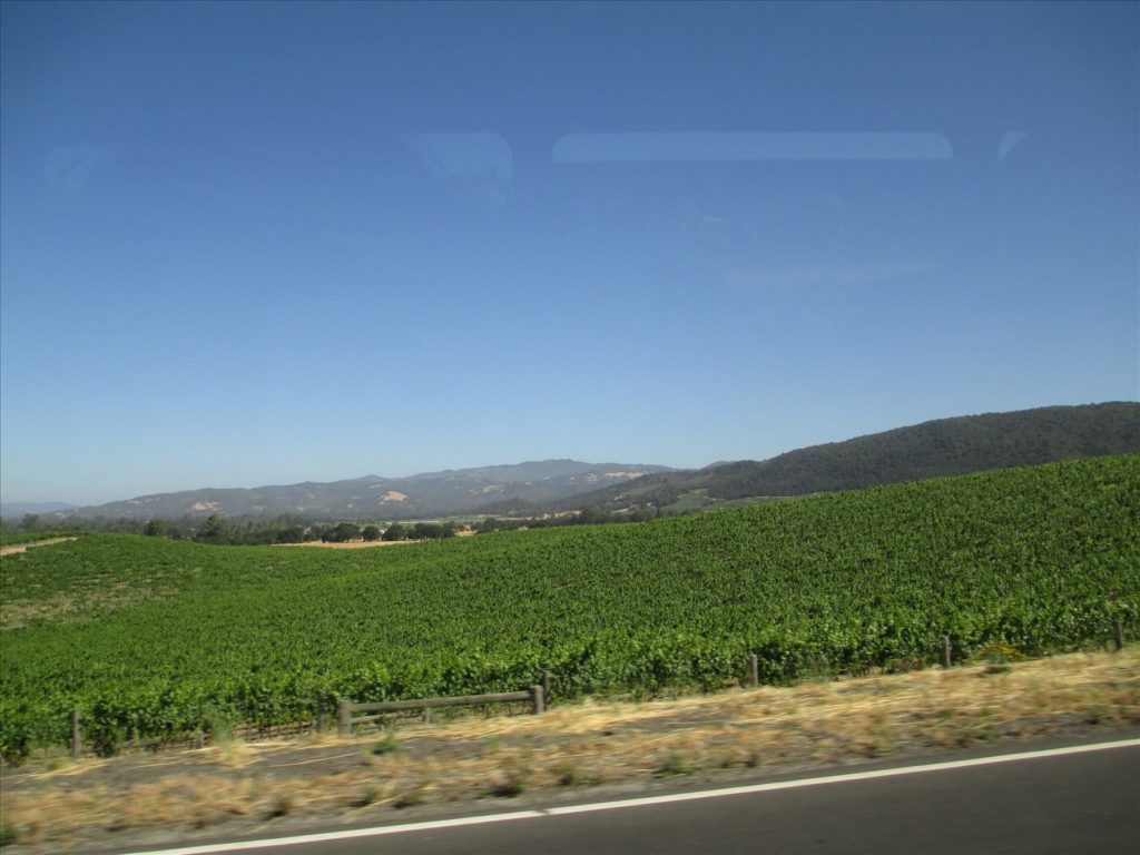 Wine Country! Napa Valley Wine Tour