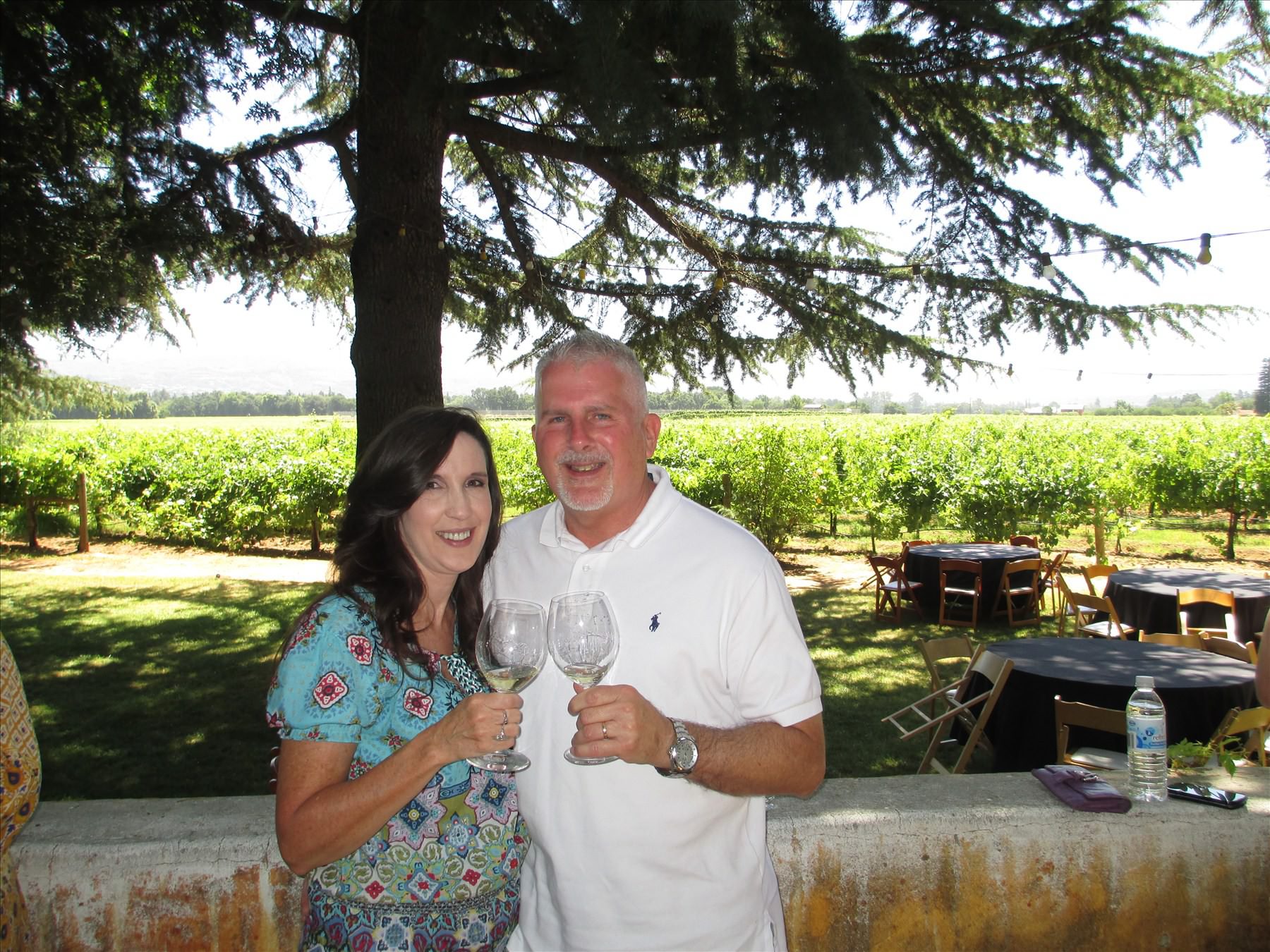 Cheers with wine in Napa Valley San Francisco tour