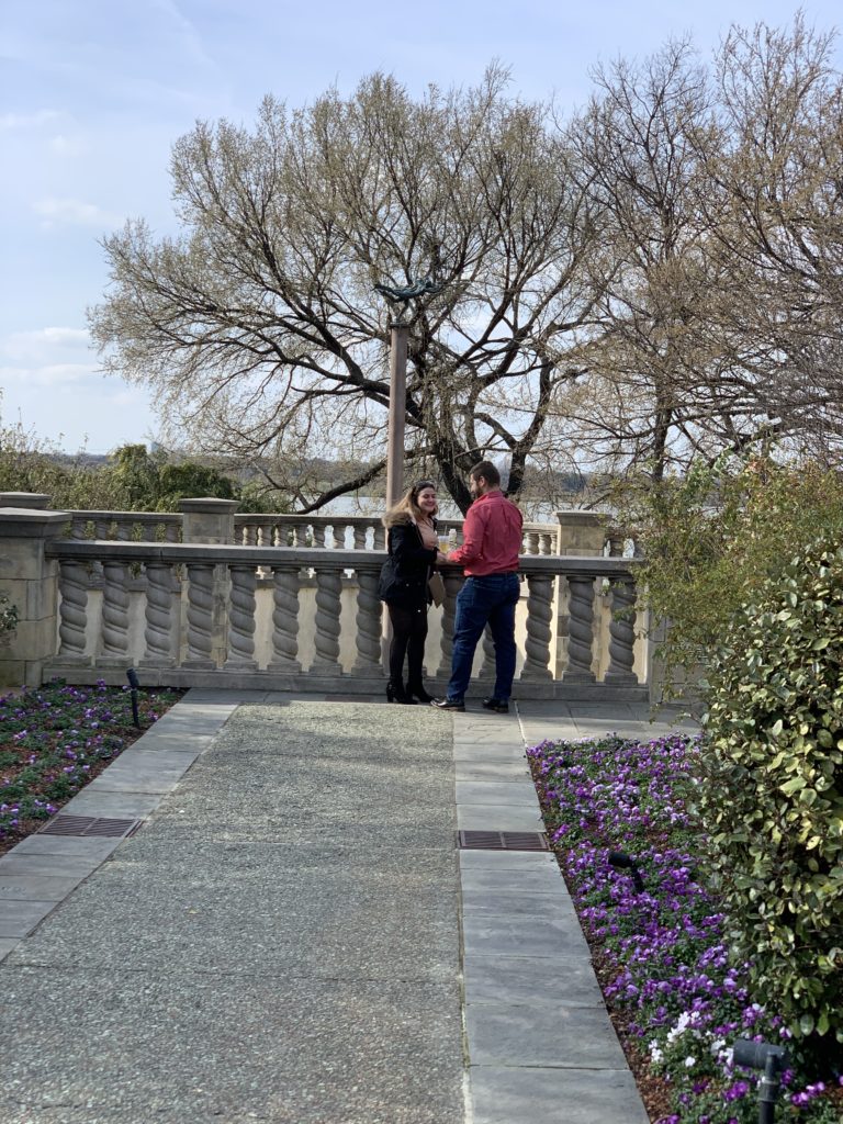unexpected photographer for wedding proposal at Dallas Arboretum and Botanical Garden.