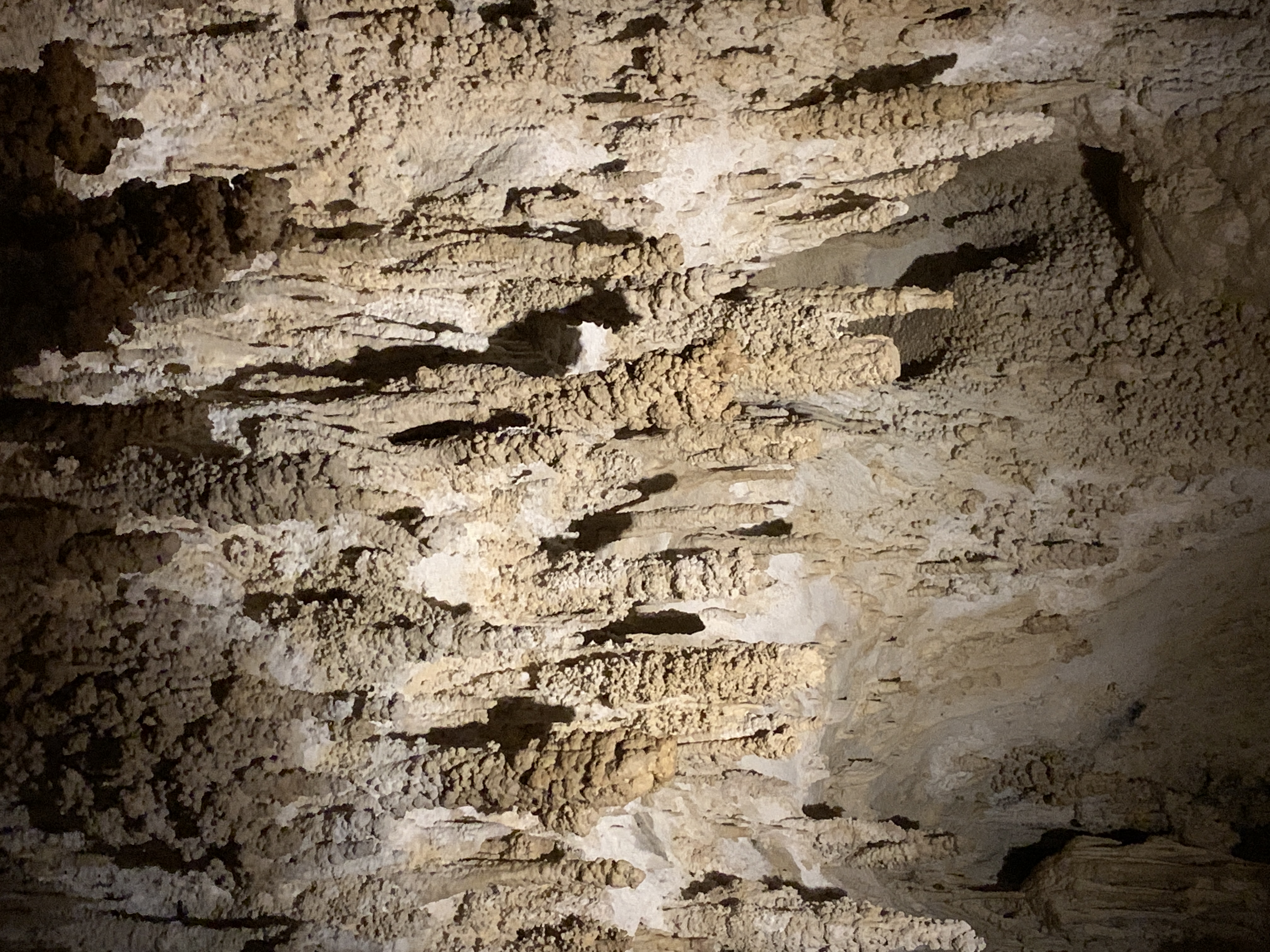 Stalactites and Stalagmites meeting. Carlsbad Caverns National Park