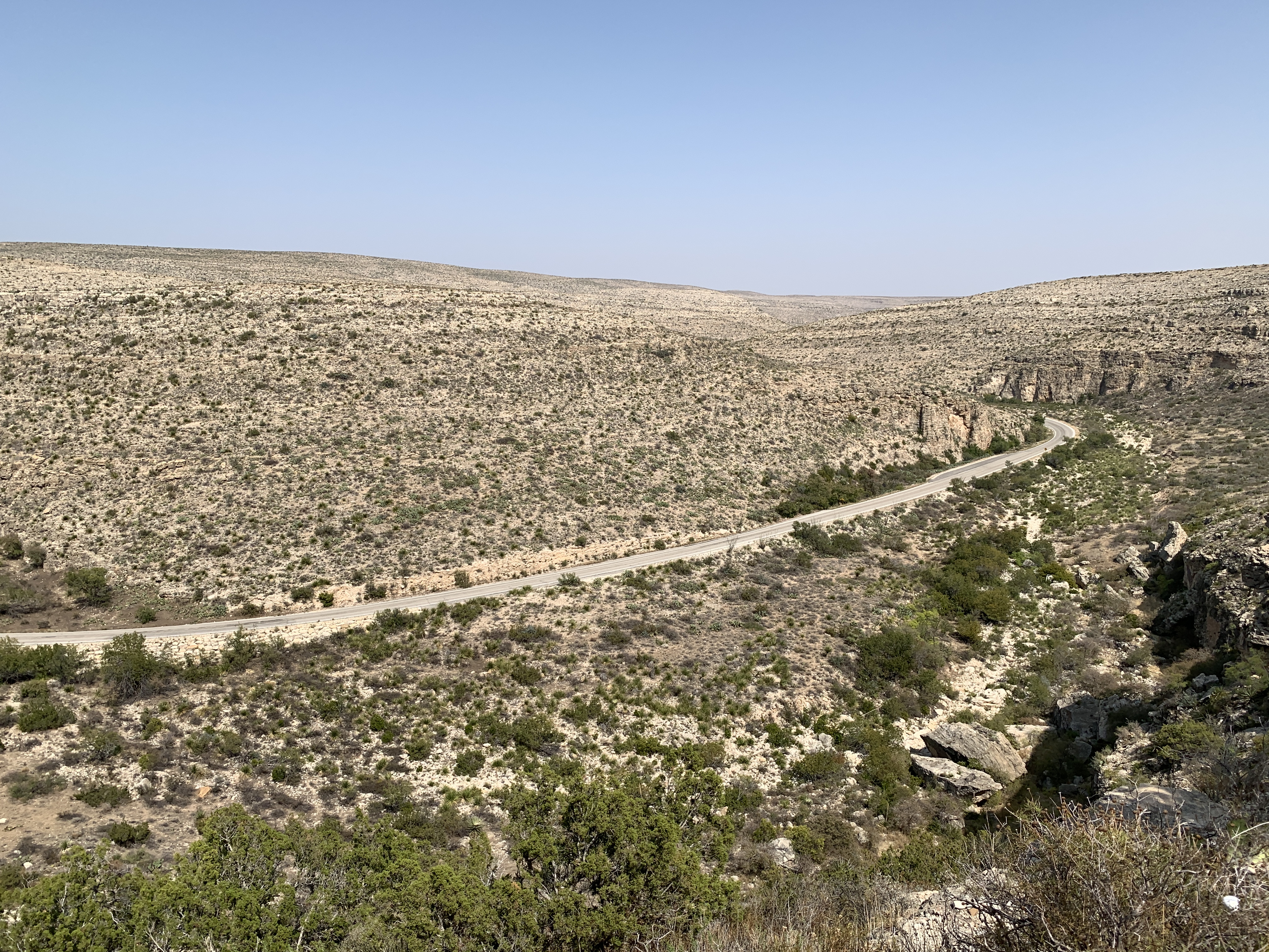 Along the 7 mile switchback drive into Carlsbad Caverns National Park
