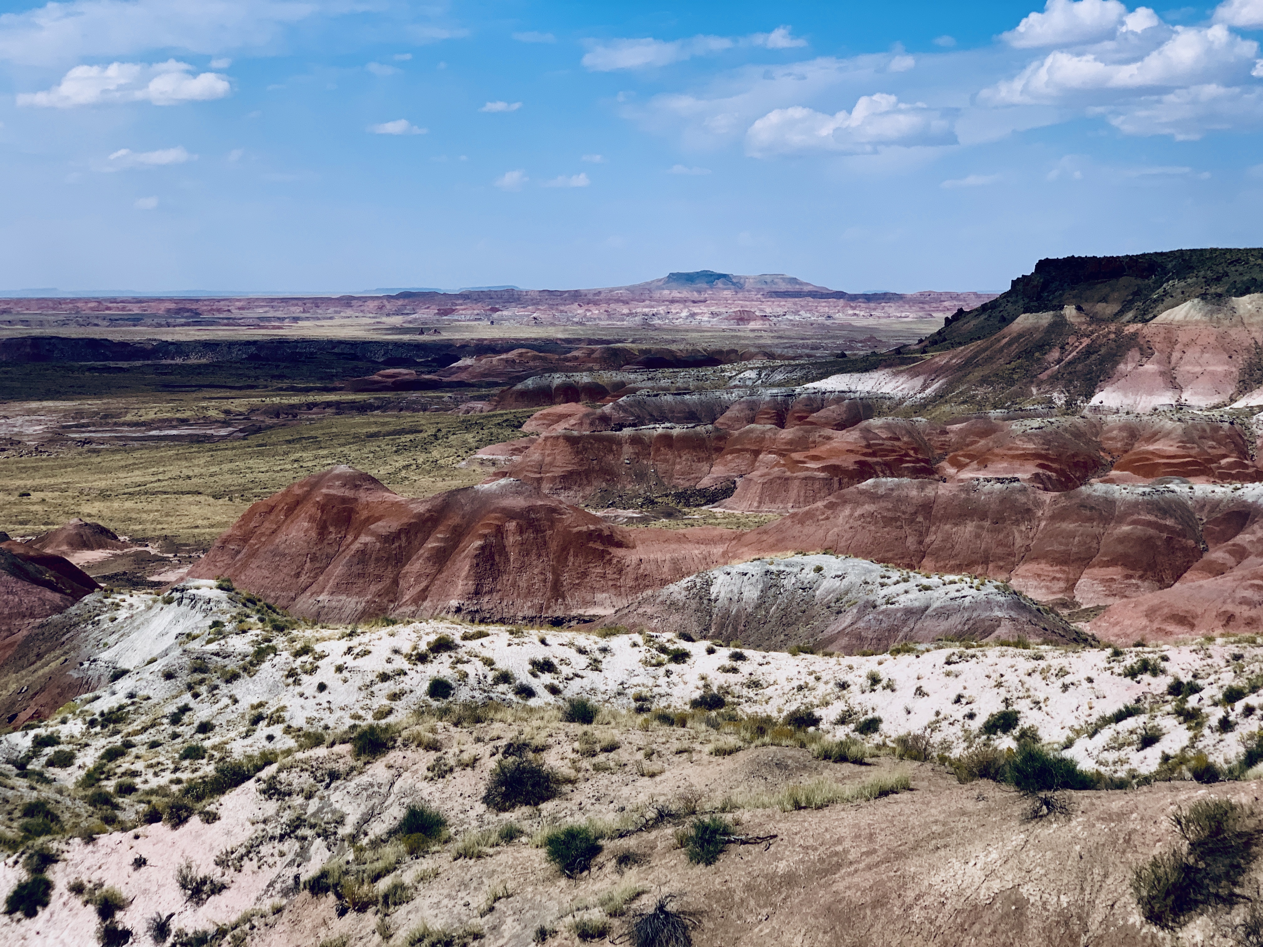 Petrified Forest National Park 13 Incredible Photo Op Stops Travel