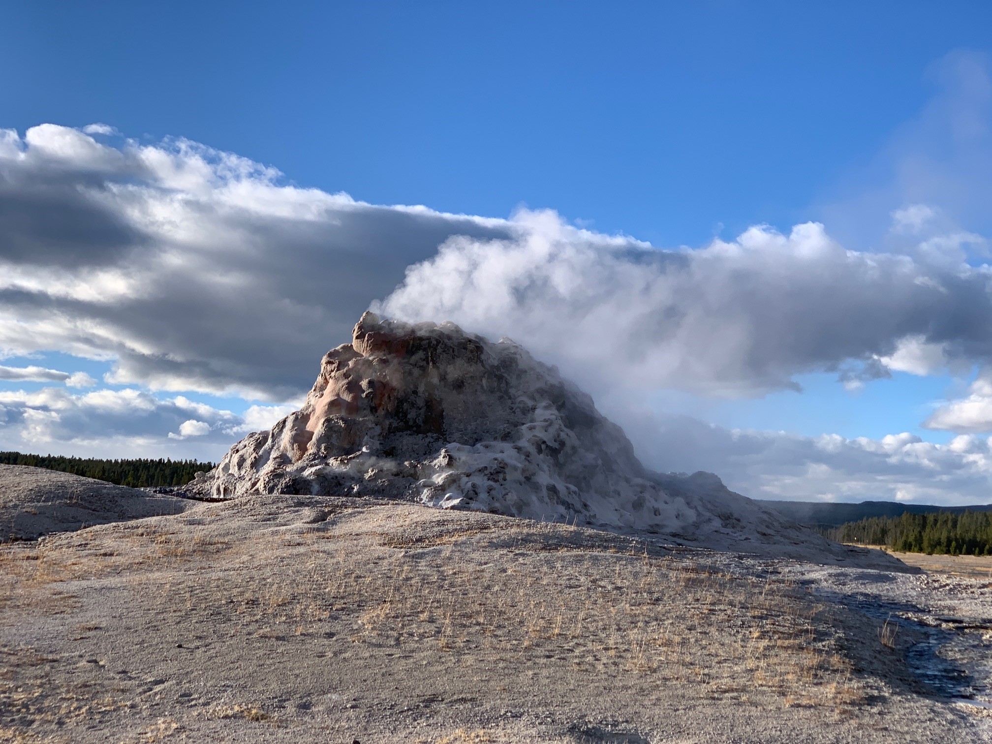 White Dome Geyser Lower Geyser Basin Yellowstone National Park Travel