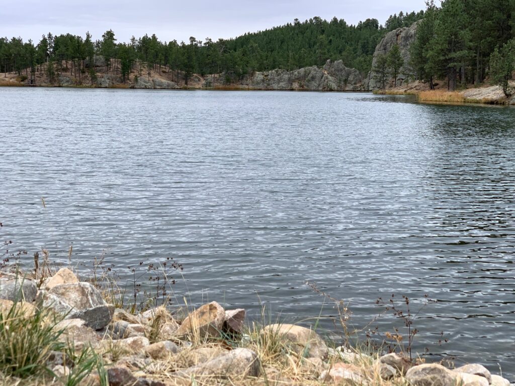 Legion Lake Custer State Park South Dakota