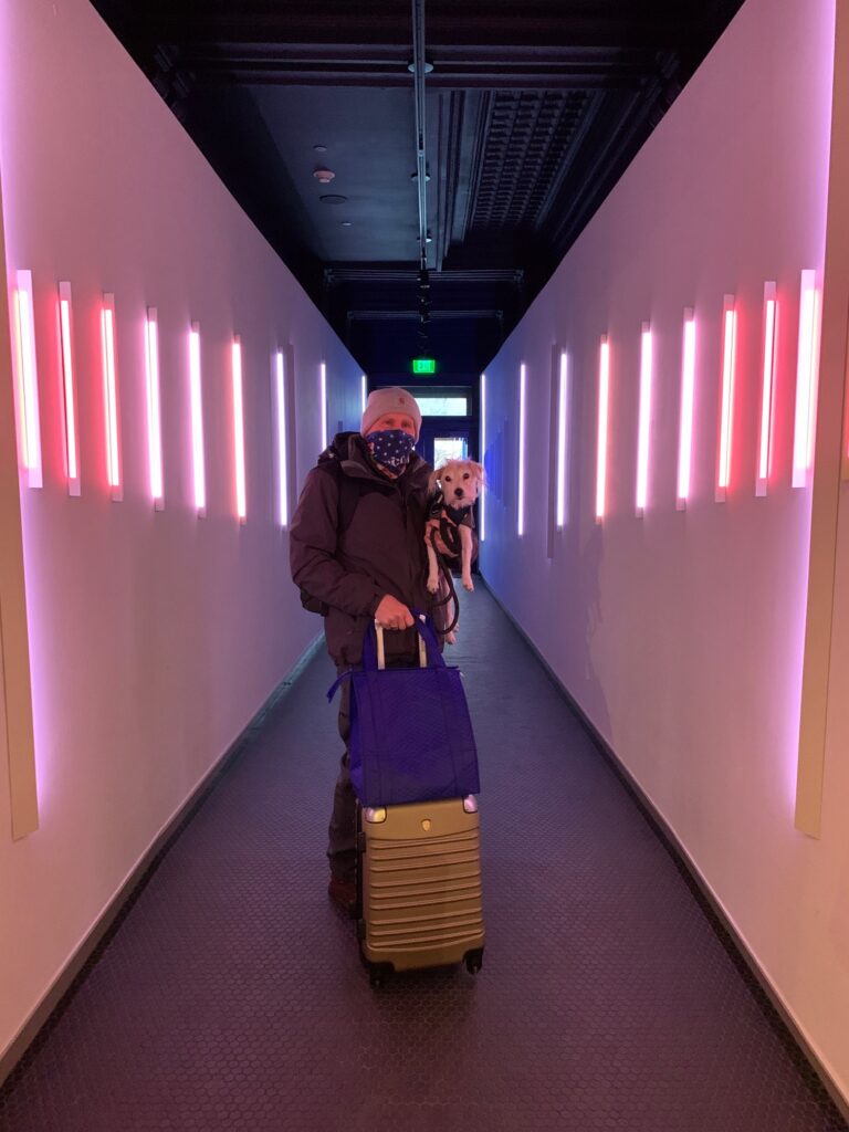 Art installations start in the entry hallway of 21C Museum Hotel KC