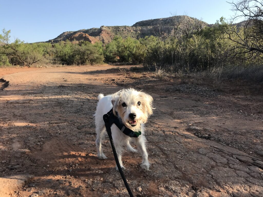 Trit at Palo Duro Canyon State Park