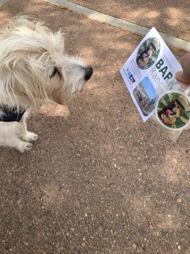 Trit becomes a Bark Ranger