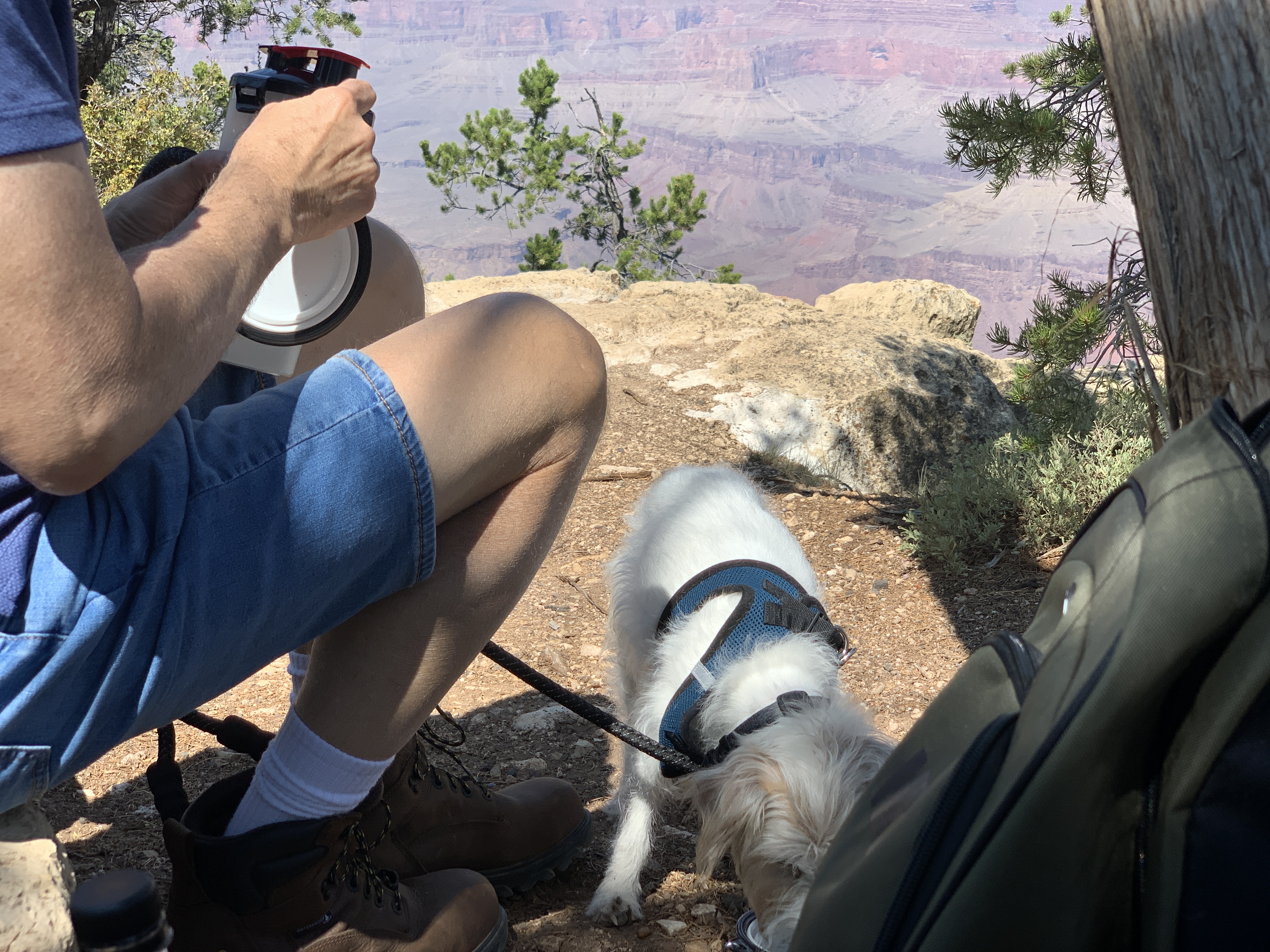 Breaking for a meal in the shade at Grand Canyon NP