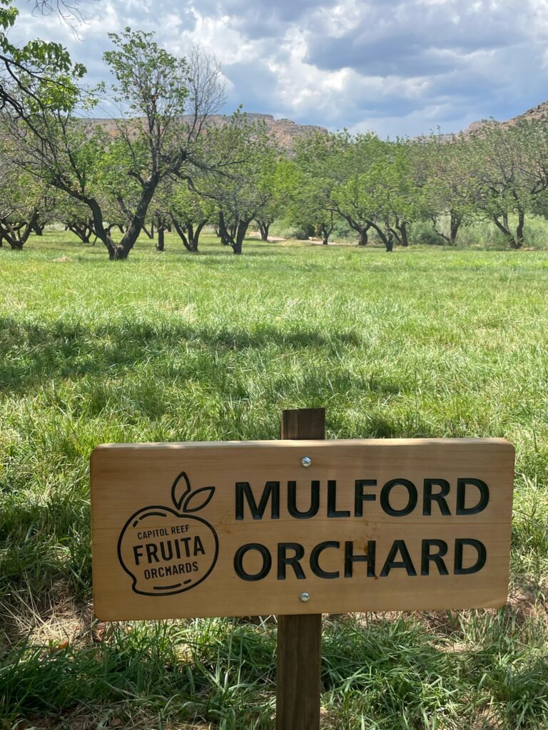 Orchards in Fruita Historic District 