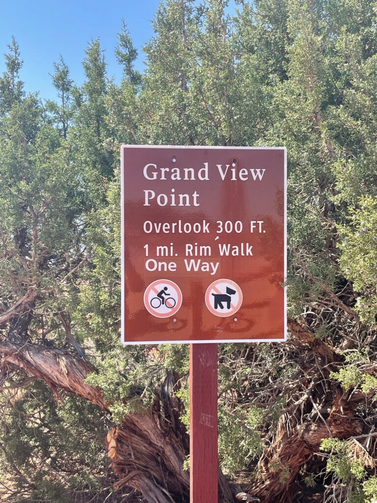 Grand View Point Overlook Canyonlands NP