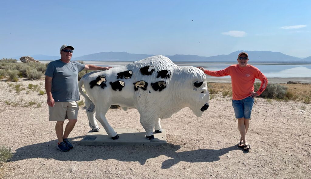 Bison art Antelope Island SLC