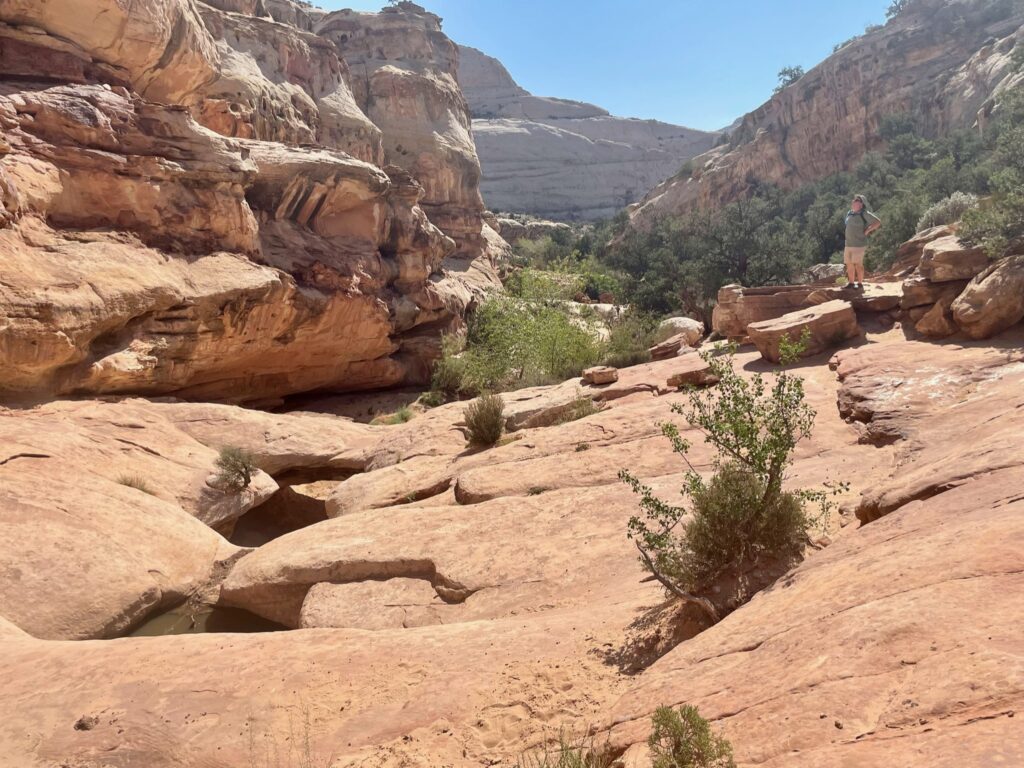 Hickman Bridge Trail Capitol Reef