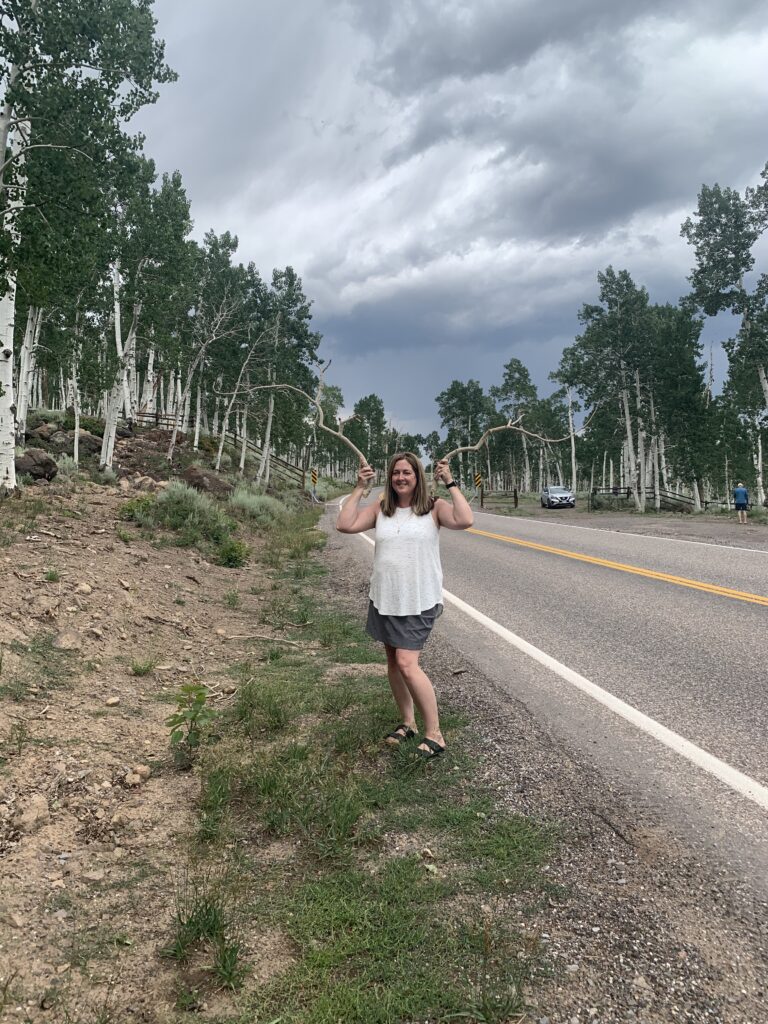 Playing with some antlerish limbs on roadside cutting through Pando