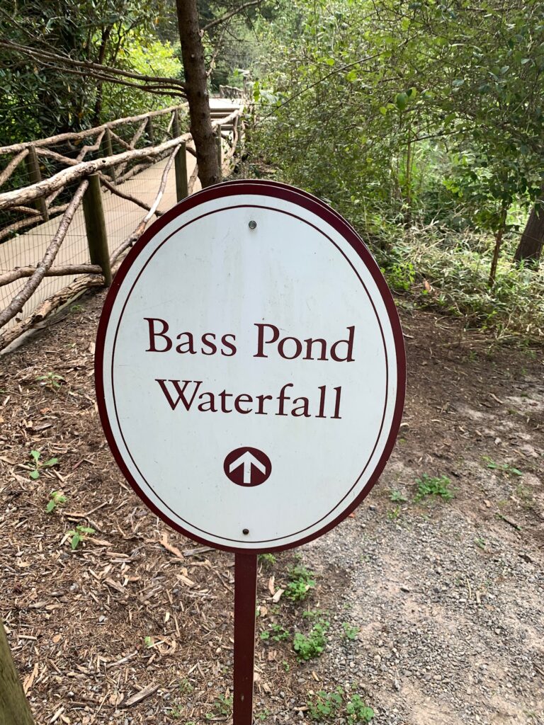 Bass Pond Waterfall Biltmore