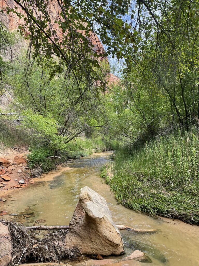 Calf Creek flowing beside the trail