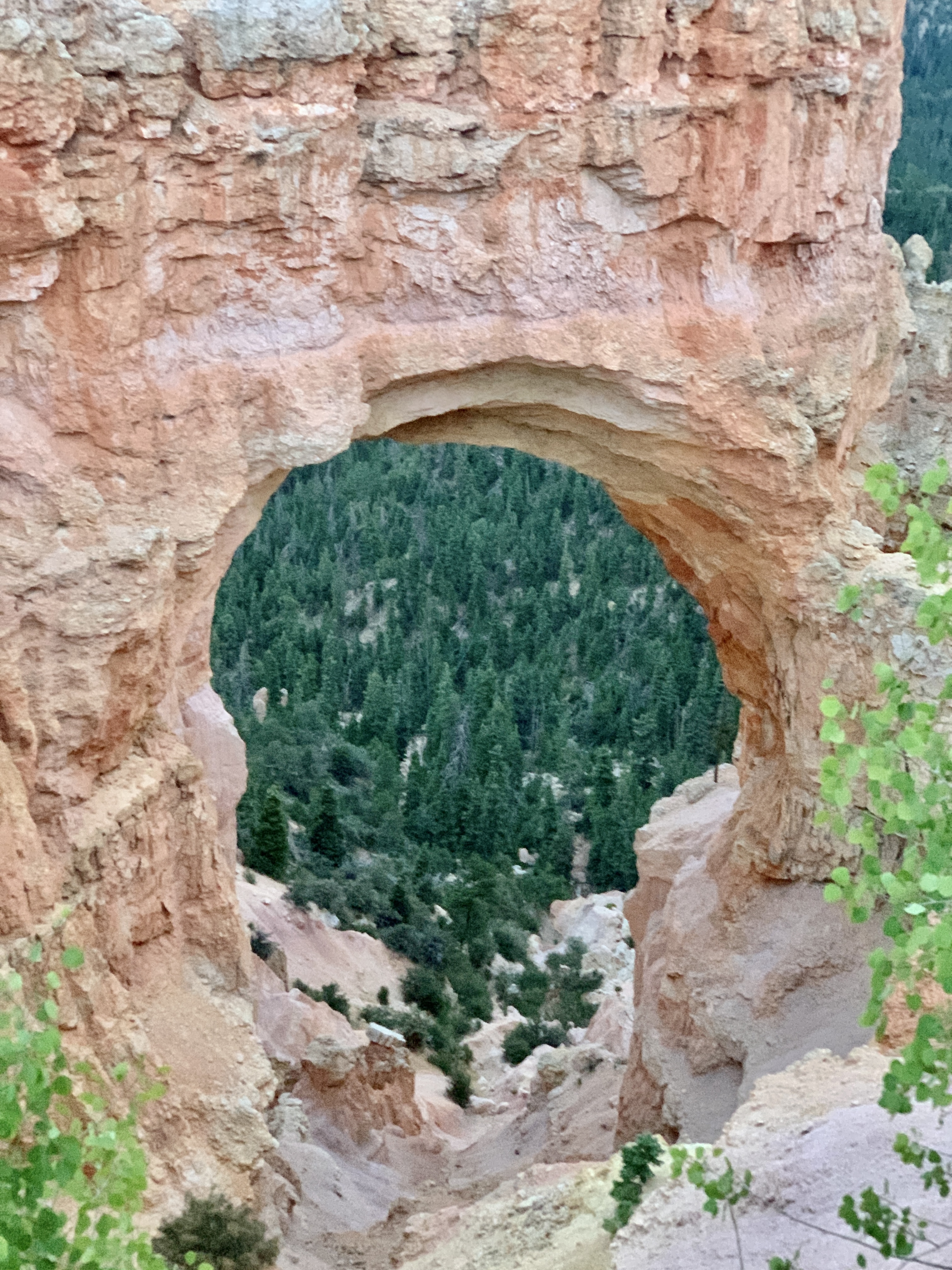 Natural Bridge Bryce Canyon National Park Utah