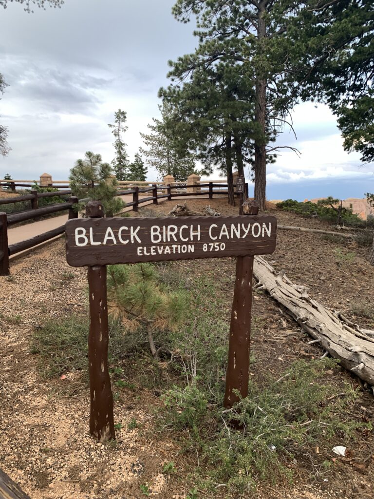 Black Birch Canyon Bryce 