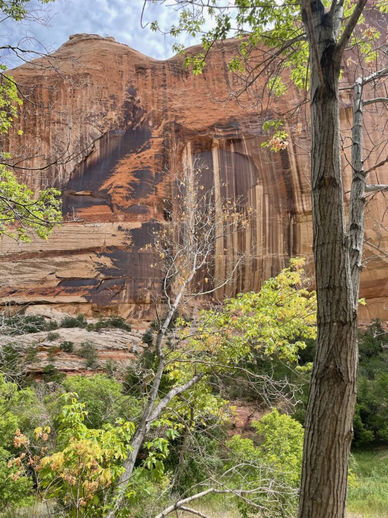 Beautiful Rock Backdrop