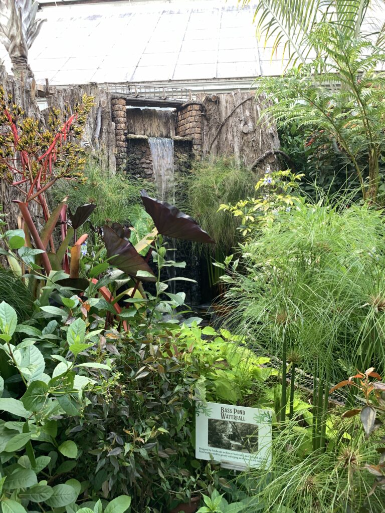 Bass Pond Waterfall replica at Biltmore Conservatory