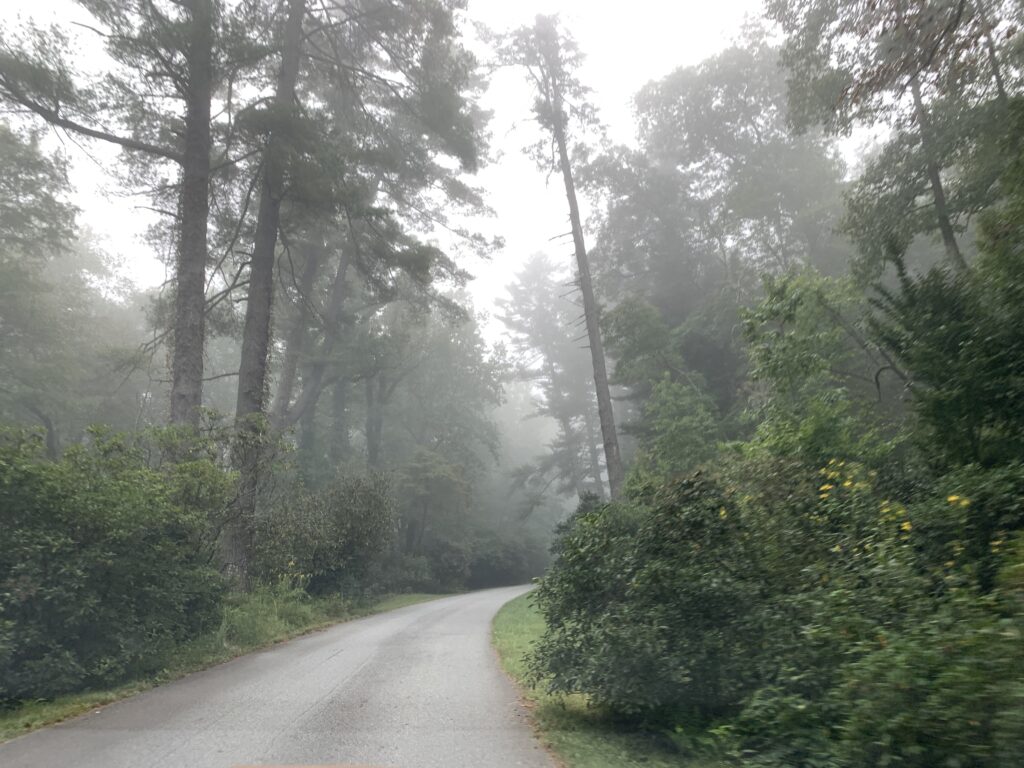 Woodsy path from parking lot to Biltmore House