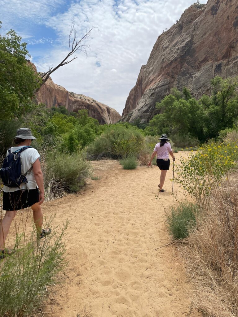 Hiking Lower Calf Creek Falls Trail