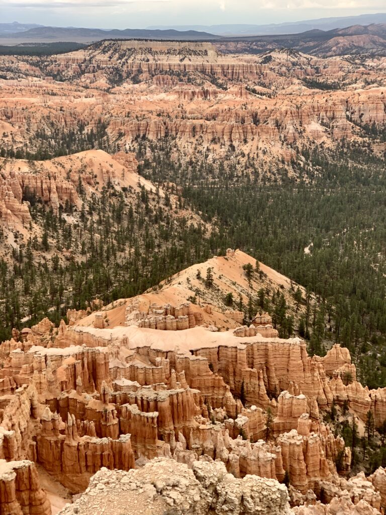 The Alligator view from Bryce Point