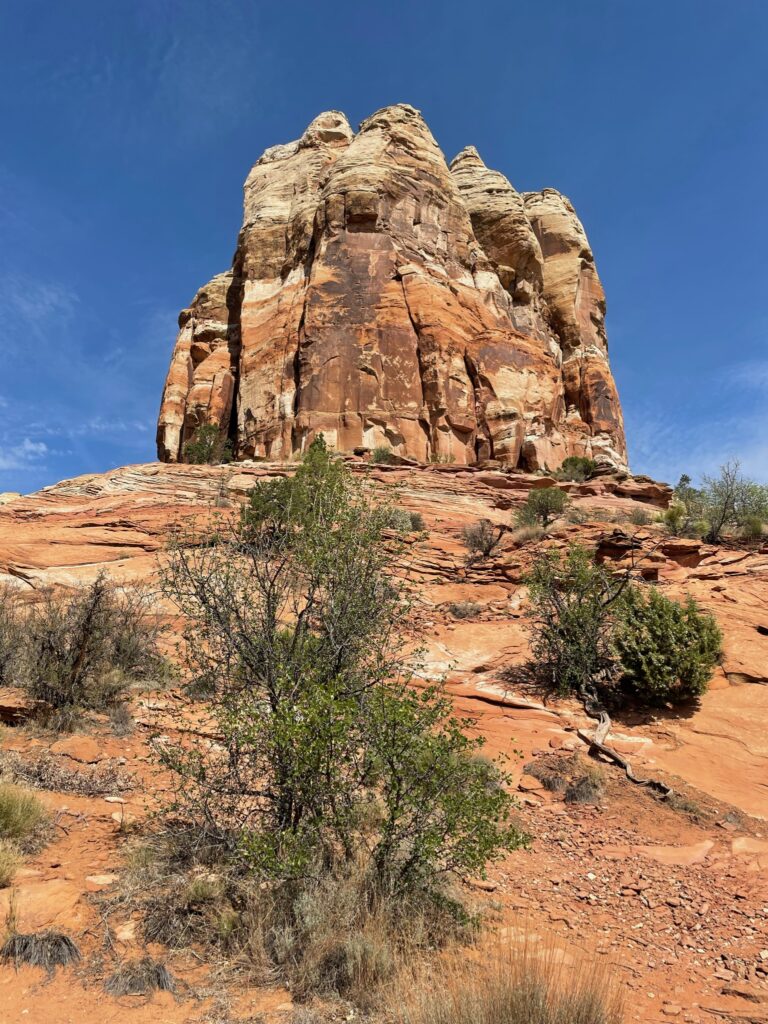 Rock Formation Lower Calf Creek Falls Trail