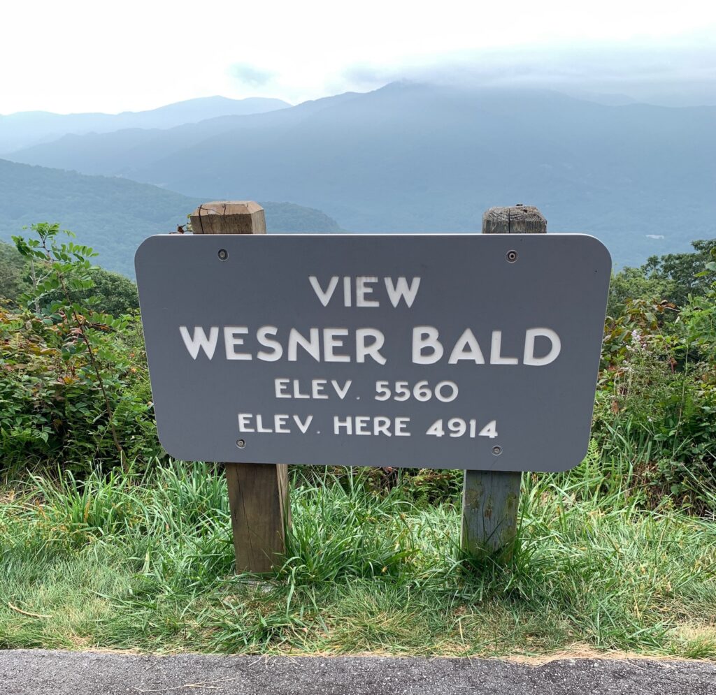 Wesner Bald View Point Smokies