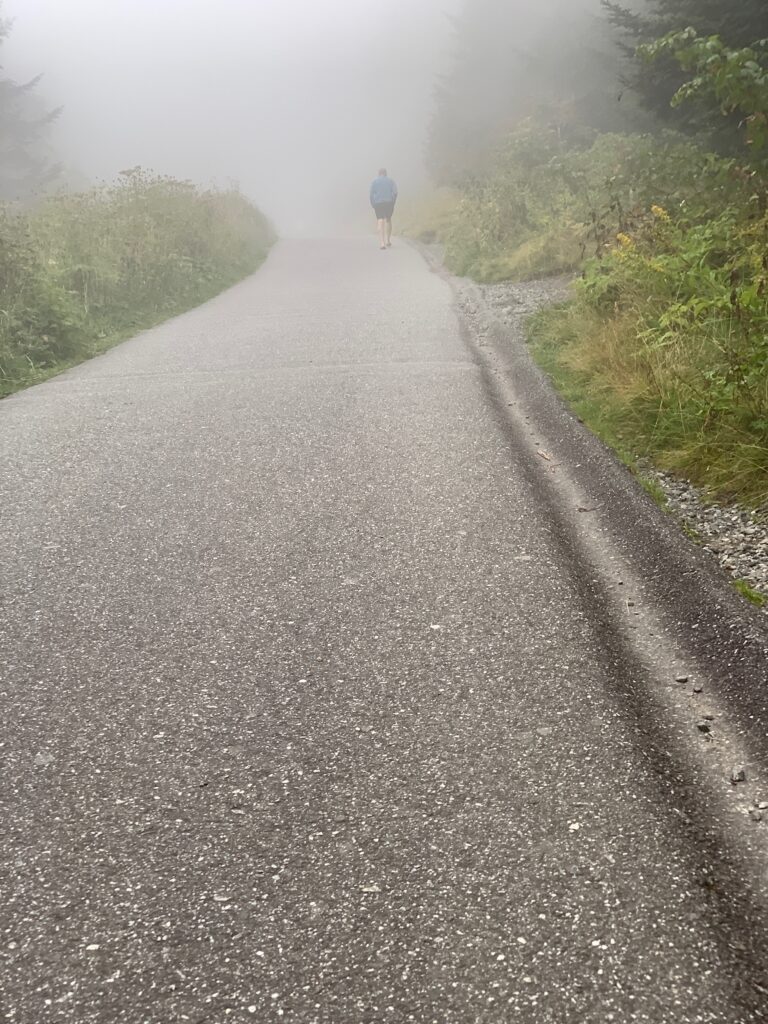 Bud getting lost in the fog up ahead