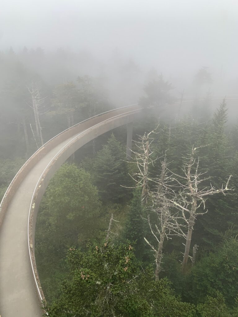 Foggy view of Clingmans Dome Ramp Smoky Mtns NP