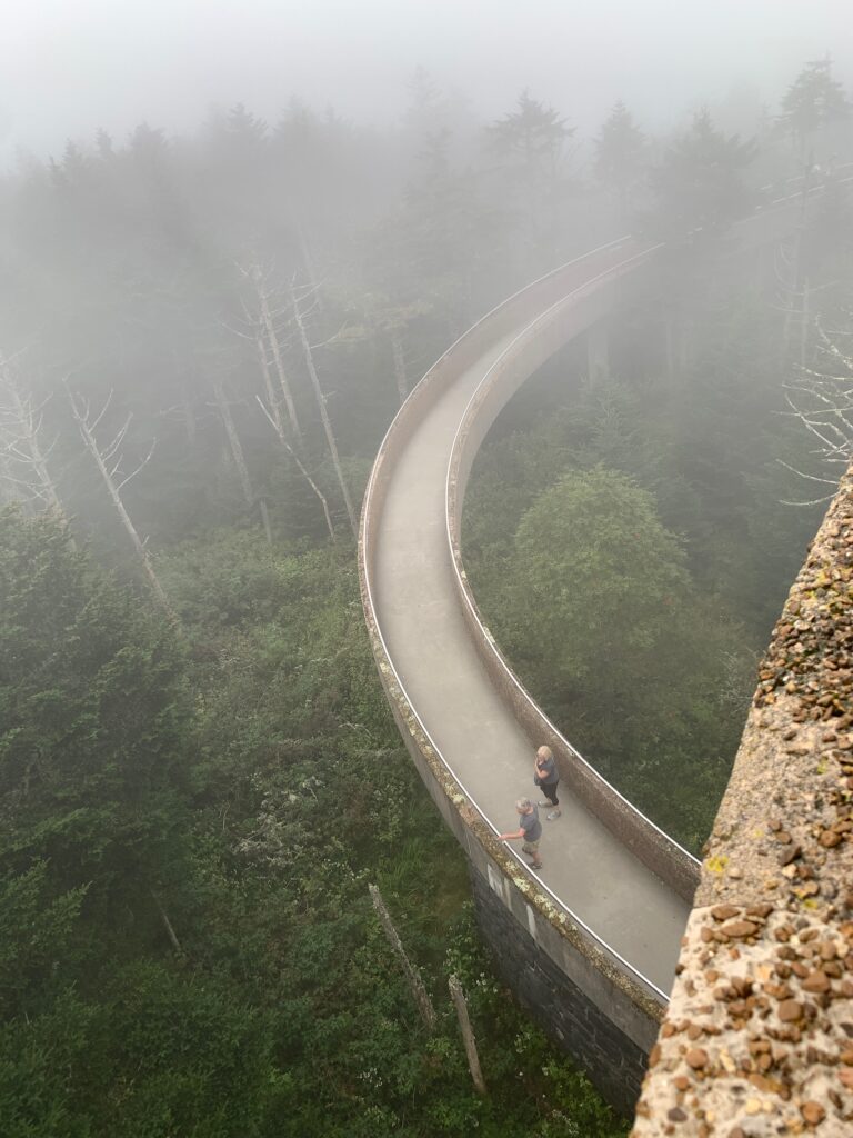 Foggy view of Clingmans Dome Ramp Smoky Mtns NP