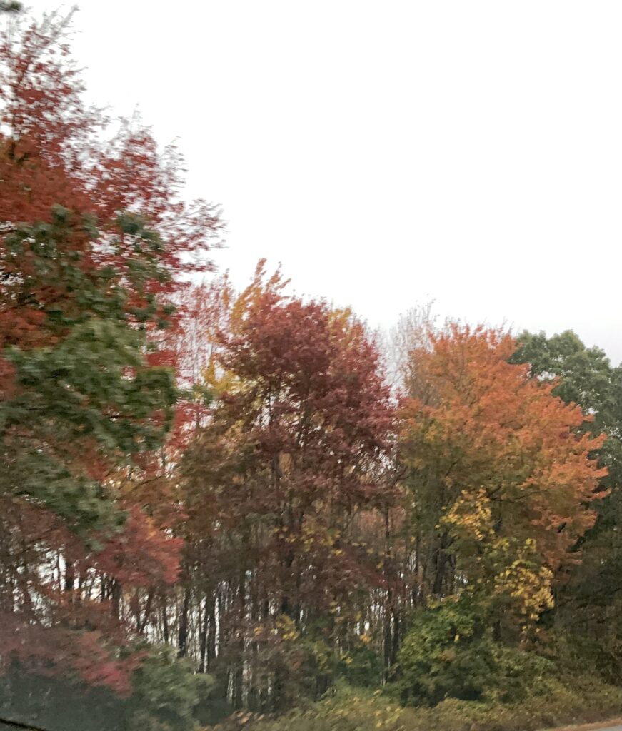 Rhode Island Fall Foliage
