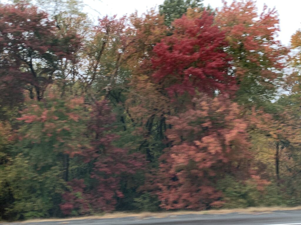 Late October still sporting Fall colors in New England