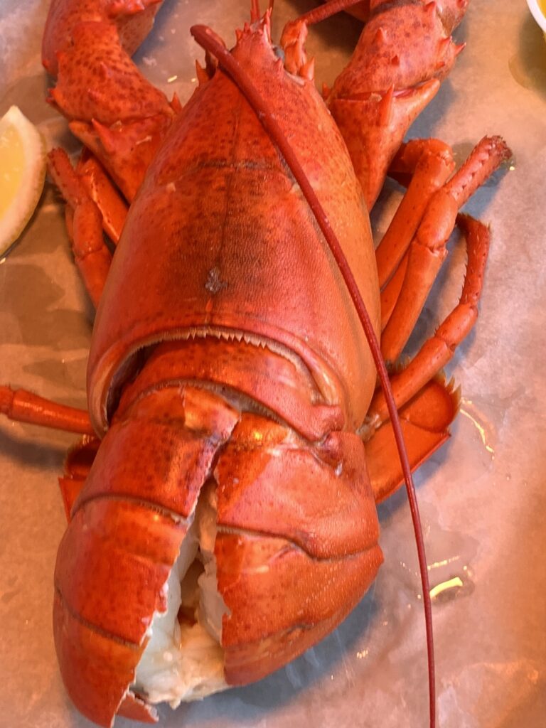 Lobster at Geddy's Bar Harbor Maine