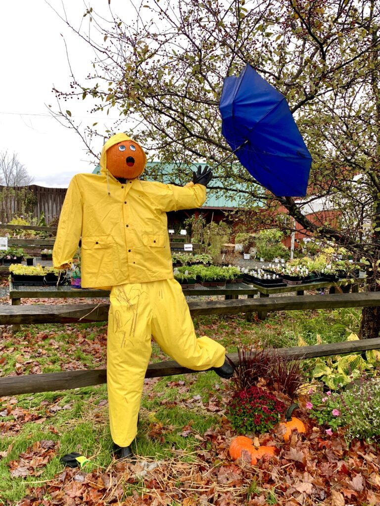 This character with umbrella in New London was ready for Nor'easter