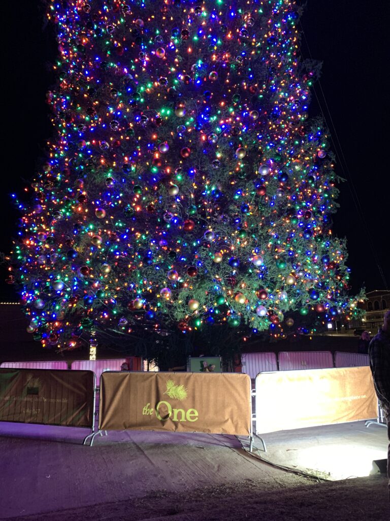 25k lights, 10k ornaments on World's Largest fresh cut tree Enid, The One