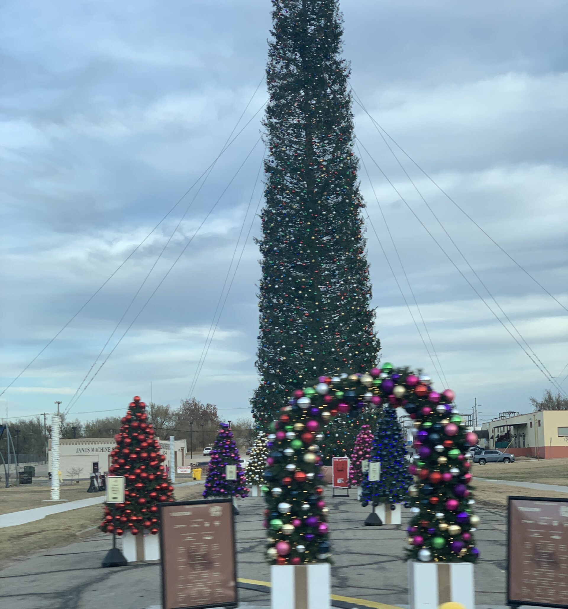 Arch and 12 foot trees surrounding world's tallest tree Enid OK