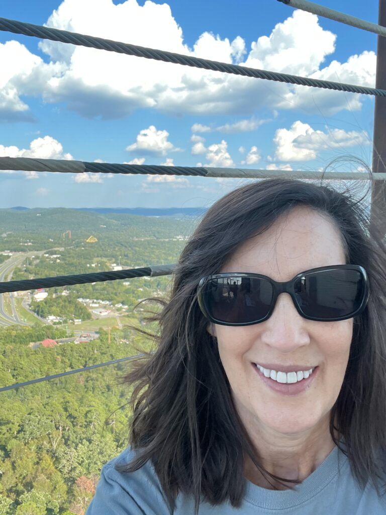 View From The Top Mountain Tower