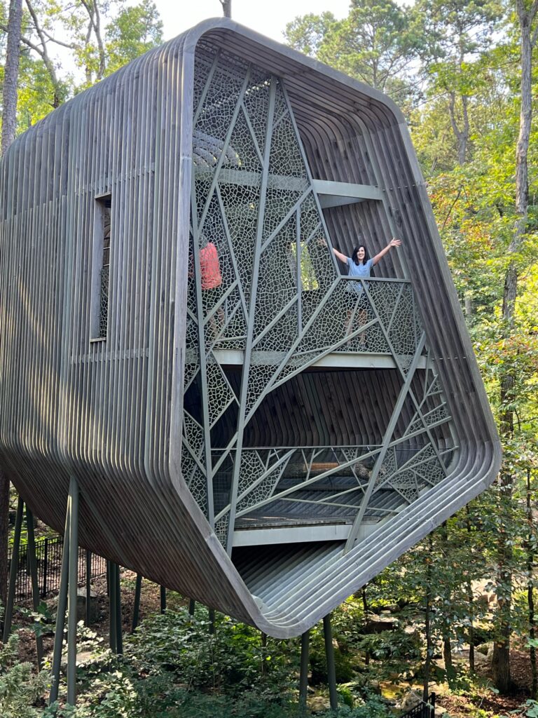 Inside the Treehouse at Garvan Woodlands Garden