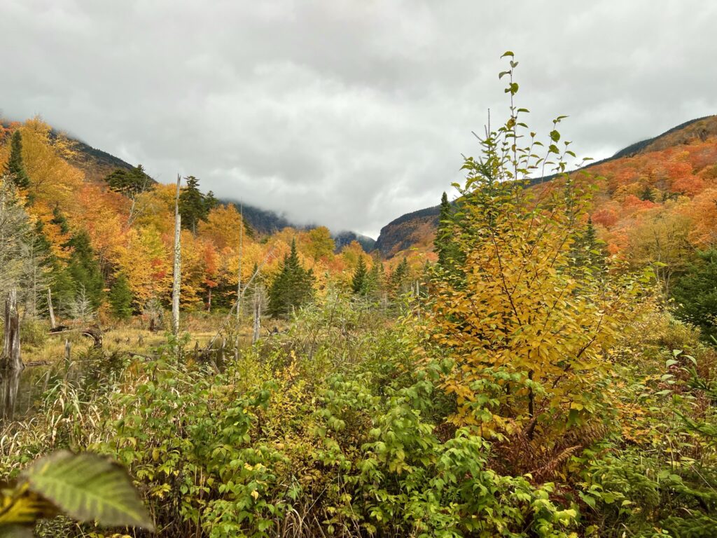 The notch of Smugglers' Notch