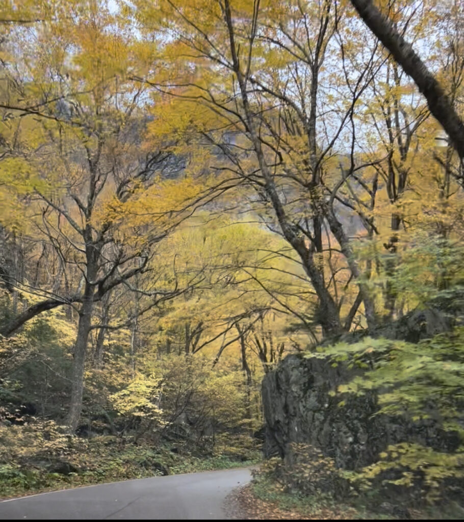 Driving thru Smugglers' Notch 