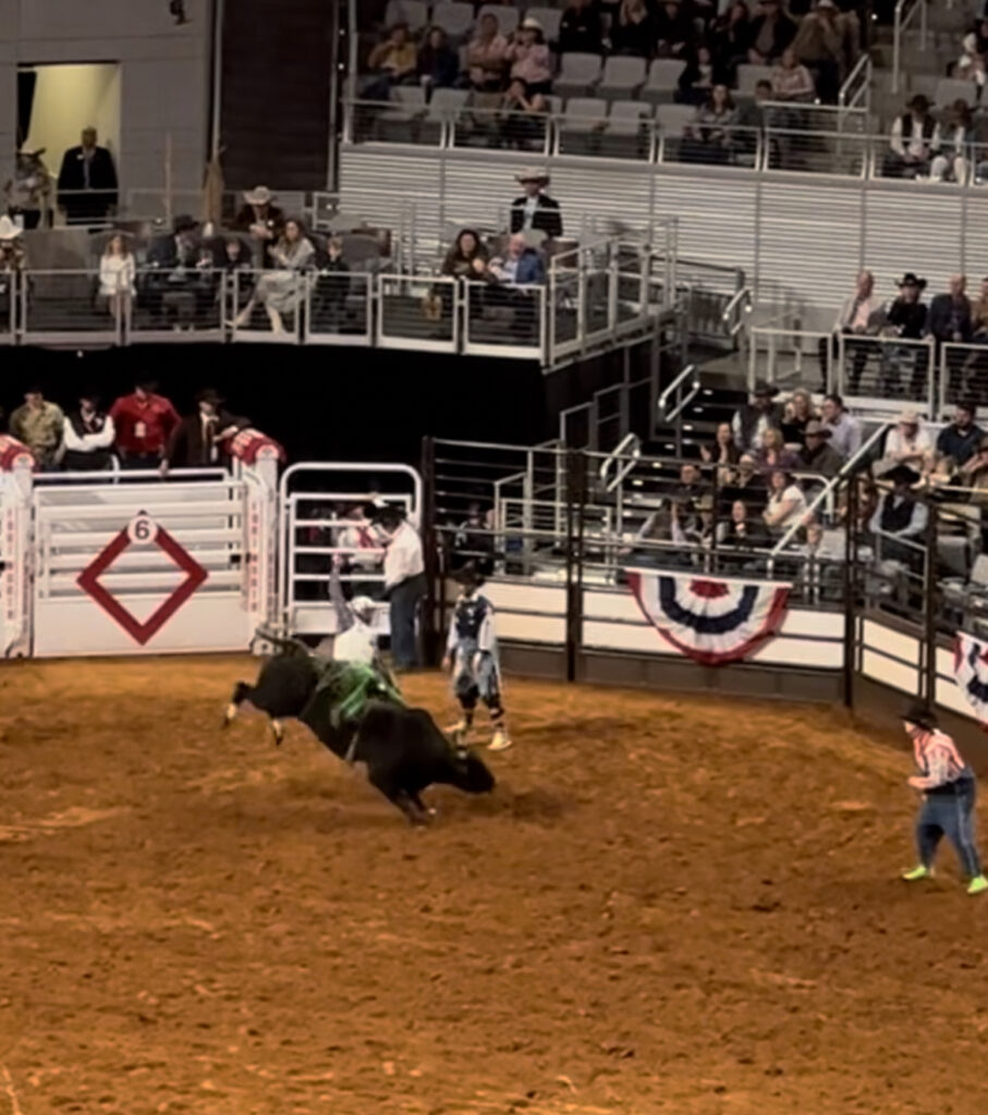 Bull riding at Ft Worth Stock Show & Rodeo