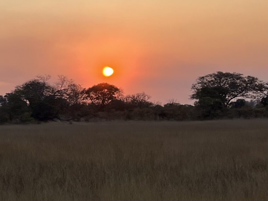 Beautiful African safari sunset
