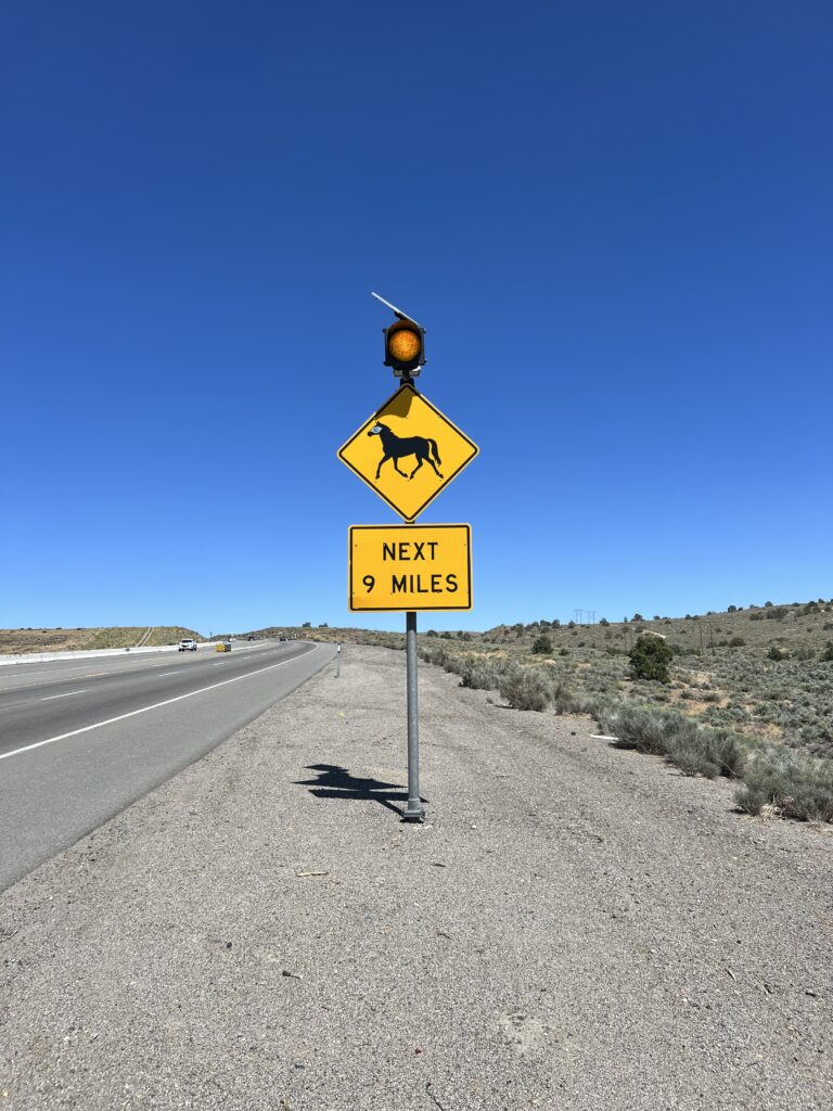 Wild horses crossing sign